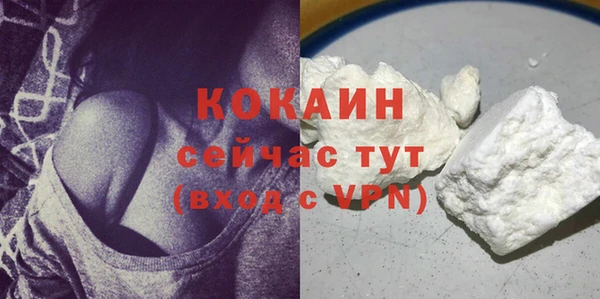 шишки Баксан