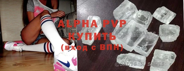 шишки Баксан